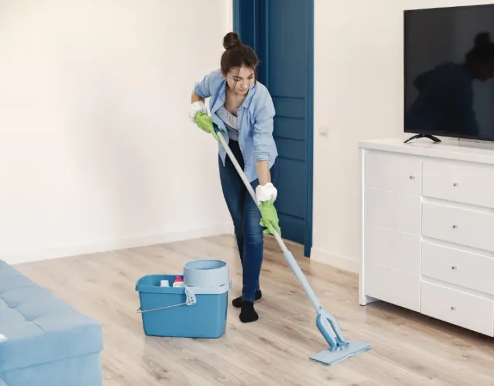 Femme de ménage Hostens